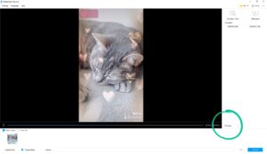 Remove TikTok Watermarks with These 5 Apps [+ How to Use Them]