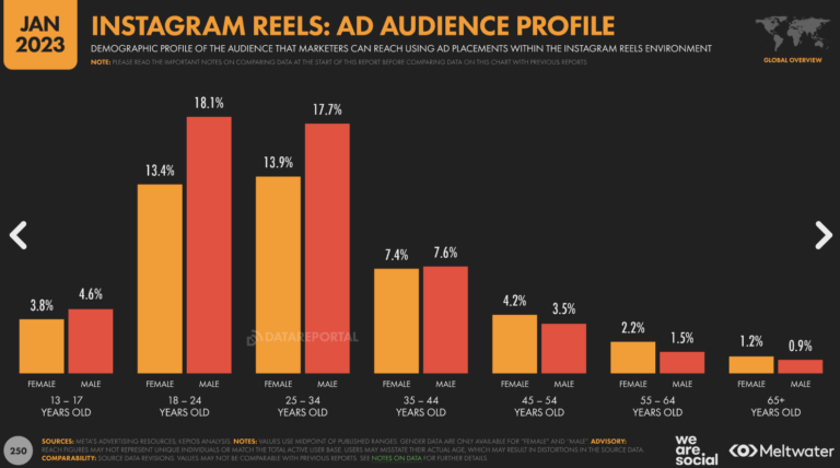 Instagram Reels audience profile