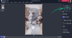 Remove TikTok Watermarks with These 5 Apps [+ How to Use Them]