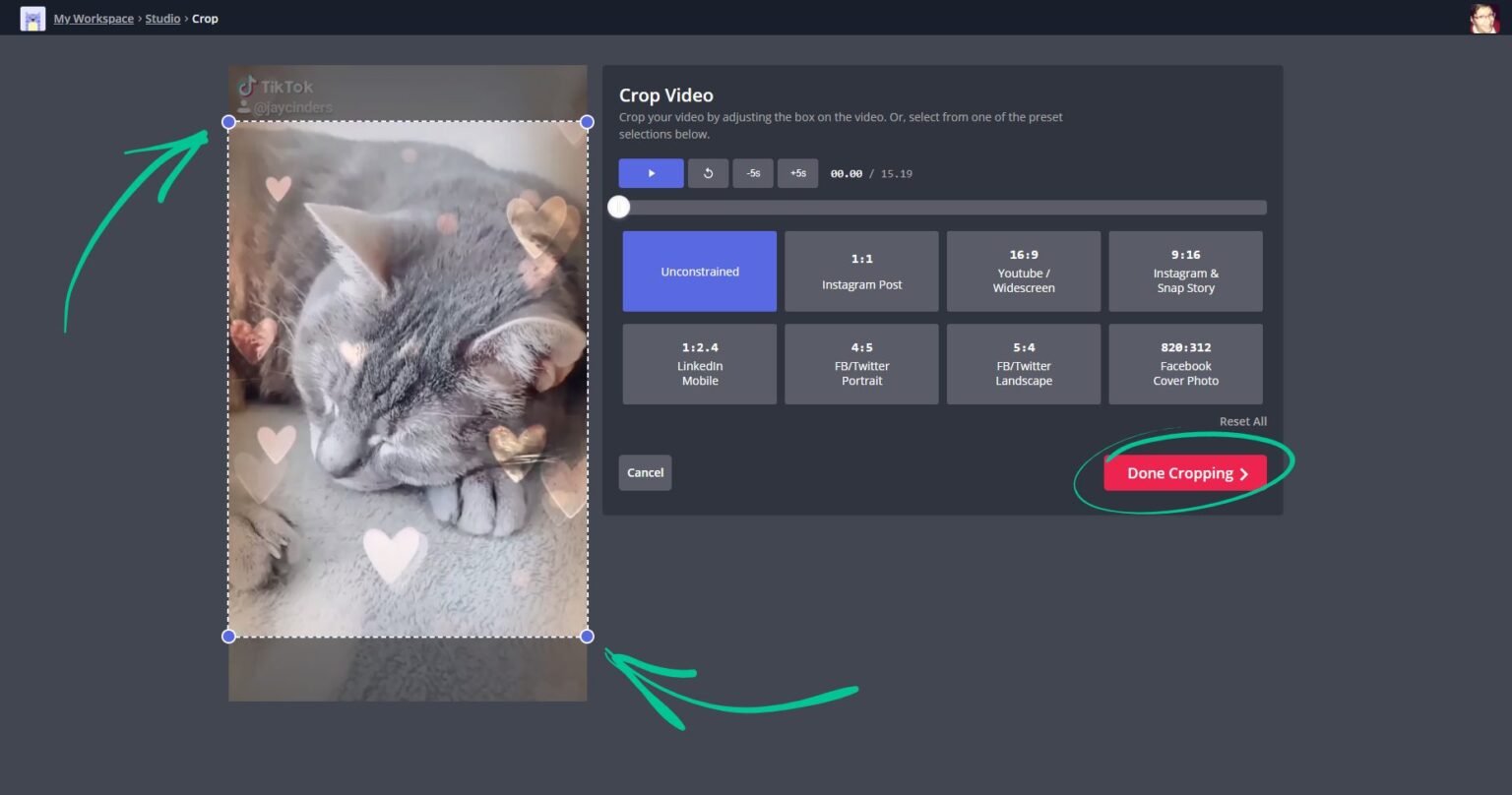 Remove TikTok Watermarks with These 5 Apps [+ How to Use Them]