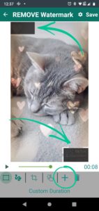 Remove TikTok Watermarks with These 5 Apps [+ How to Use Them]