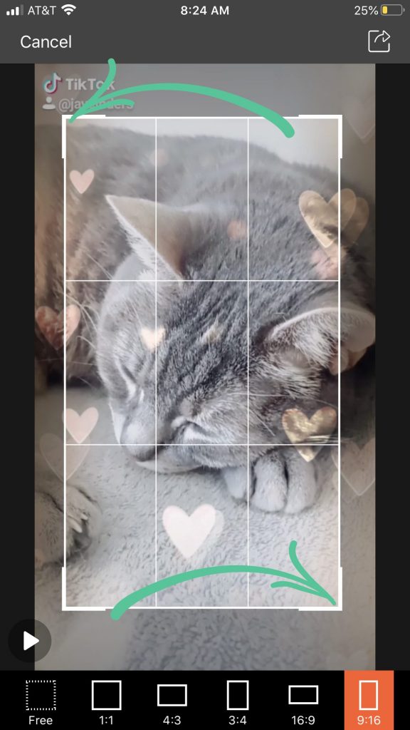 Next, select the aspect ratio for your TikTok video and use the corners of the grid