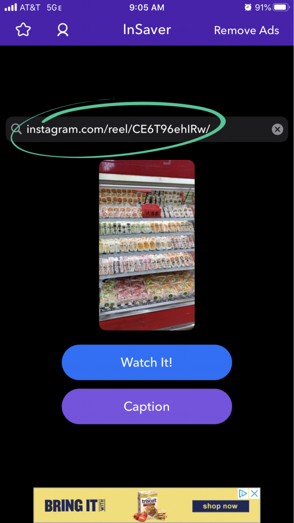 How to Download Instagram Reels on iPhone