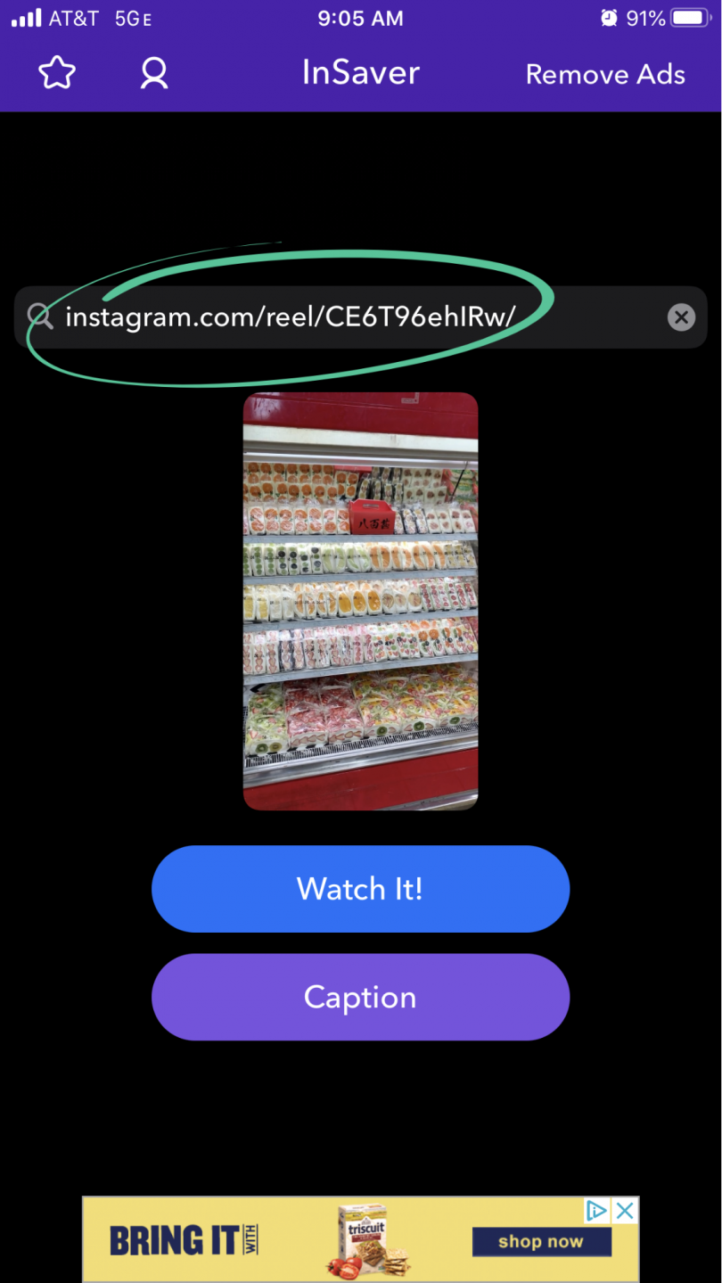 How to Download Instagram Reels A StepbyStep Guide
