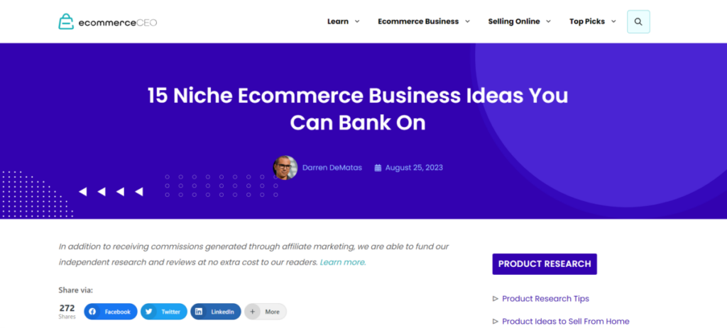 eCommerceCEO Business Ideas