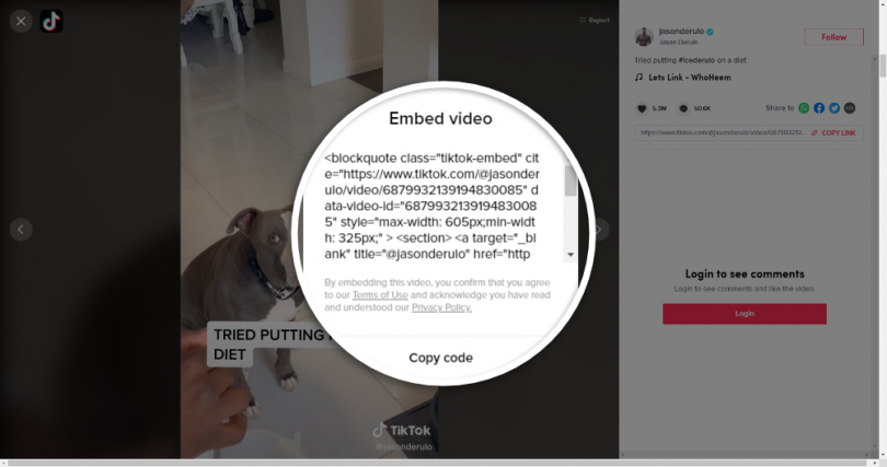 how-to-embed-tiktok-videos-and-video-feeds-on-your-website