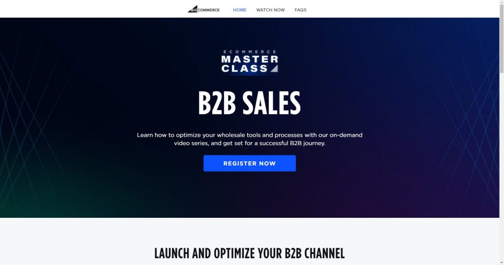 Ecommerce Masterclass: B2B Sales