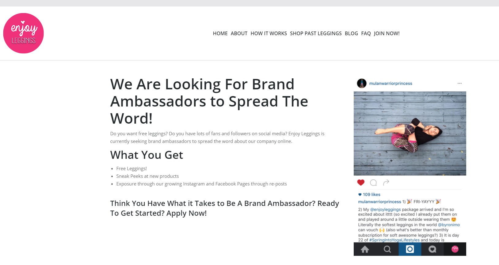 What Is a Brand Ambassador Program and How to Run One - SocialBee