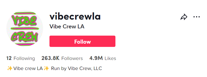 Vibe Crew LA (@vibecrewla) TikTok
