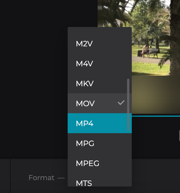 Choosing the Best File Format for Your TikTok Videos: MP4 vs. MOV vs. AVI  vs. MPEG 