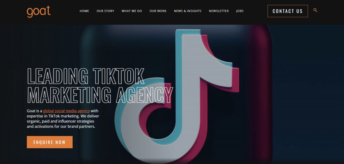 TikTok Ads: The Complete Guide for Businesses and Brands with Examples -  NoGood™: Growth Marketing Agency