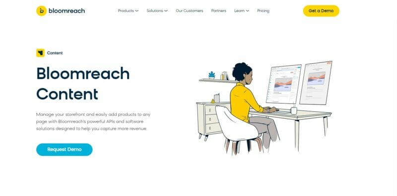 Bloomreach Experience