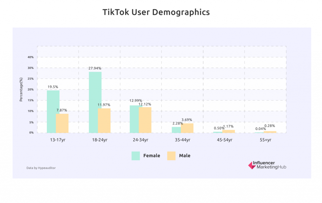 TikTok User Demographics