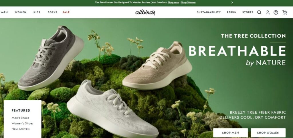 Allbirds Shoes & Clothing DTC Brand