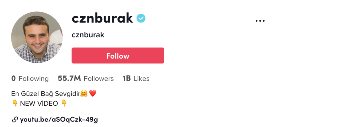 Who Has the Most Followers on TikTok in 2022?