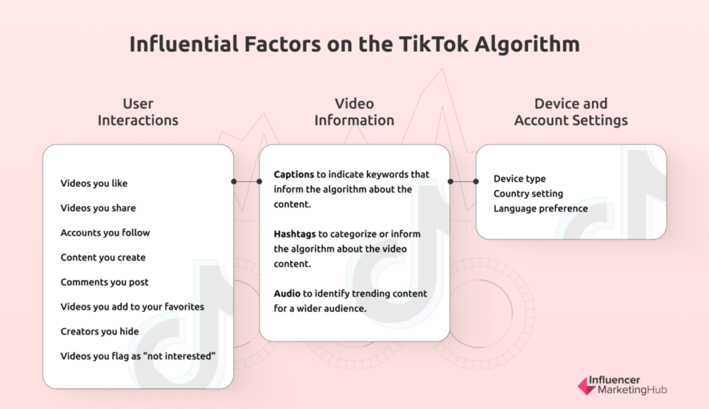 Factors that Influence the TikTok Algorithm
