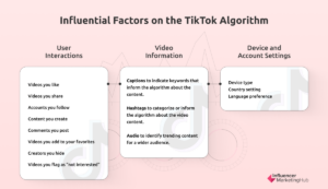 How Does the TikTok Algorithm Work?