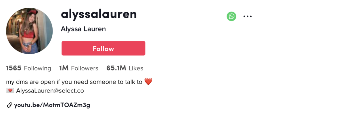 15 of the Top Content Creators on TikTok