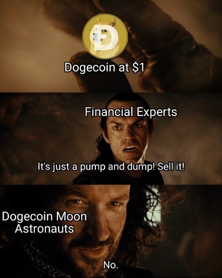 The Dogecoin is worth HODLing
