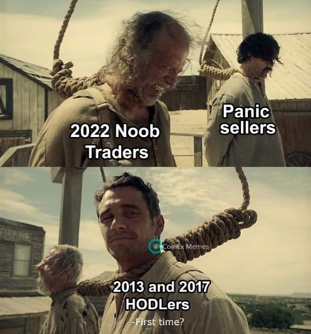 Crypto expectations memes start investing with only 1000