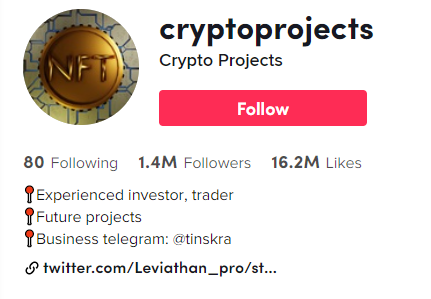 @cryptoprojects TikTok Crypto Influencer