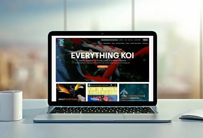 Everything Koi website 