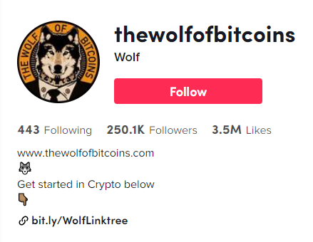 @thewolfofbitcoins TikTok Crypto Influencer