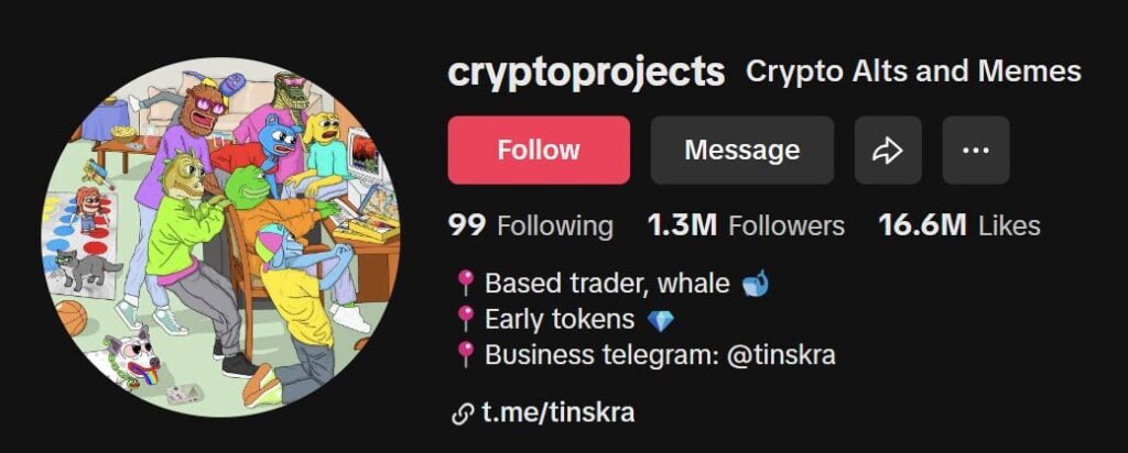 TikTok Crypto Influencer cryptoprojects