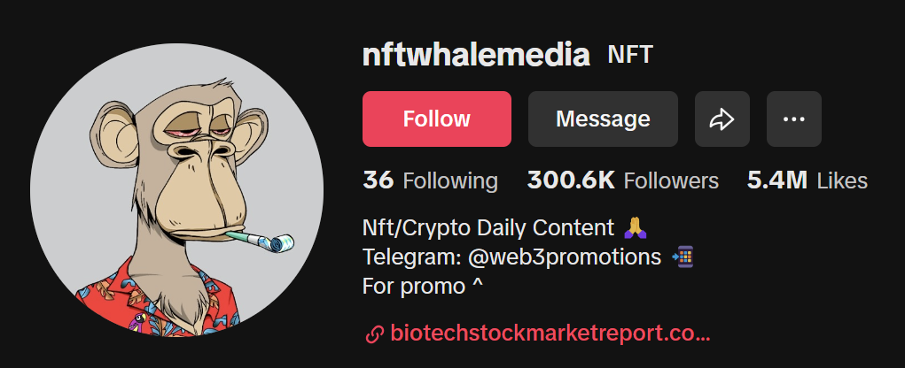 TikTok Crypto Influencer nftwhalemedia