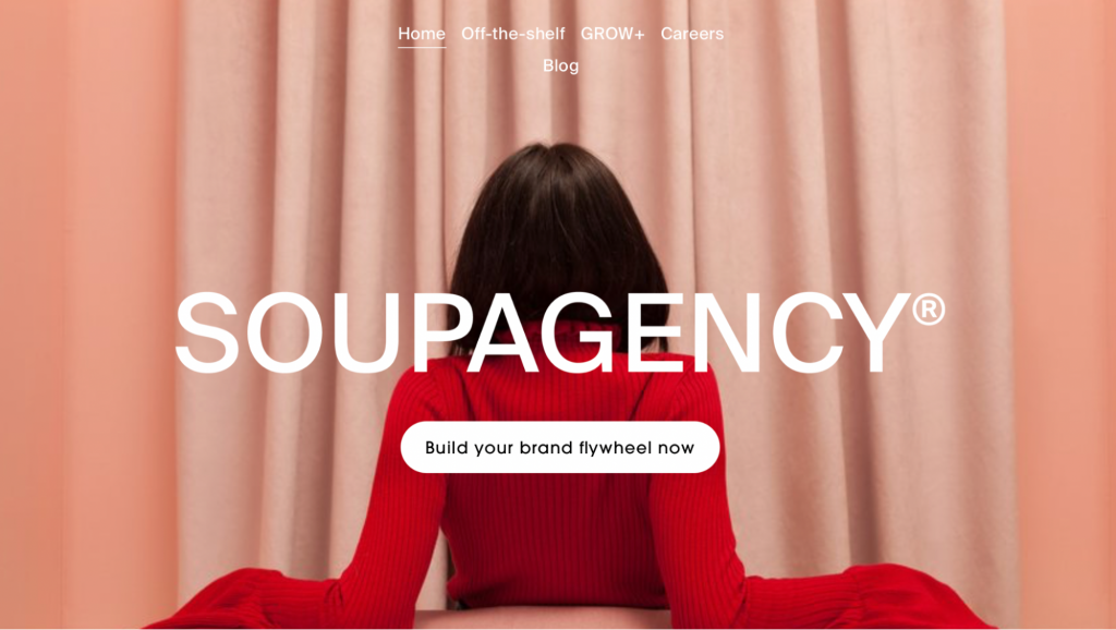 Soup Agency performance marketing for DTC brands