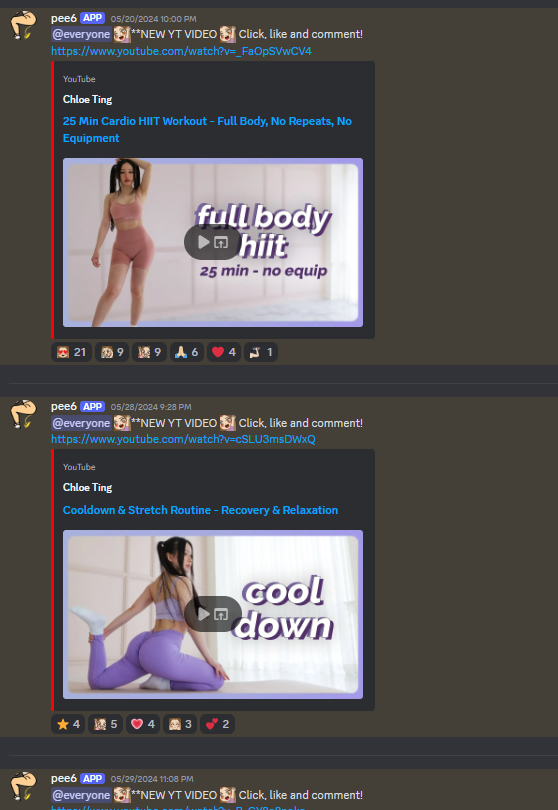 Discord Bot in Chloe Ting’s Server