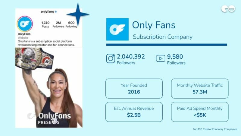 Only Fans / Subscription Company