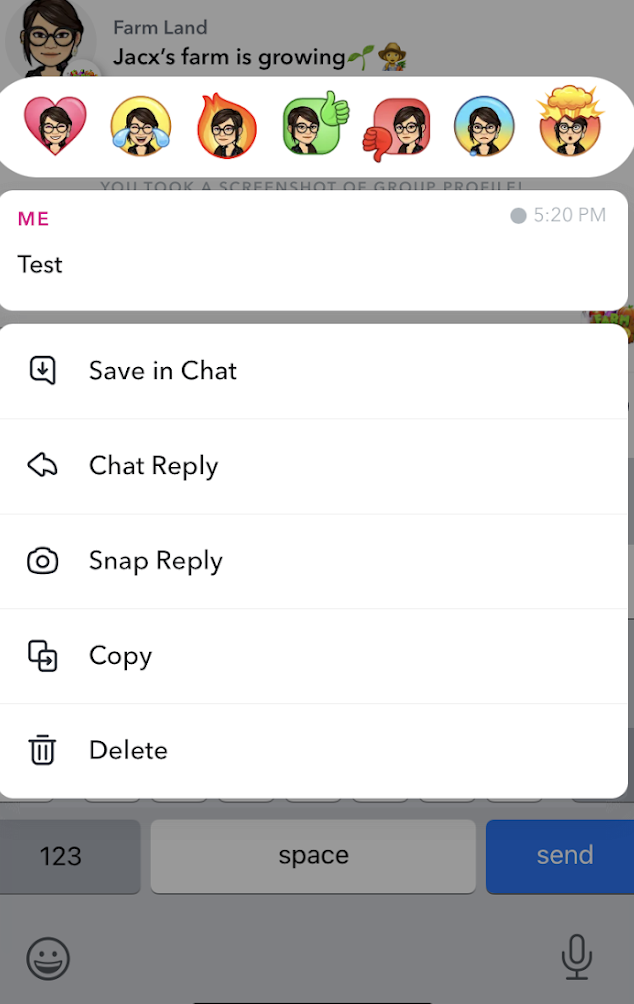 Save in Chat / Snapchat
