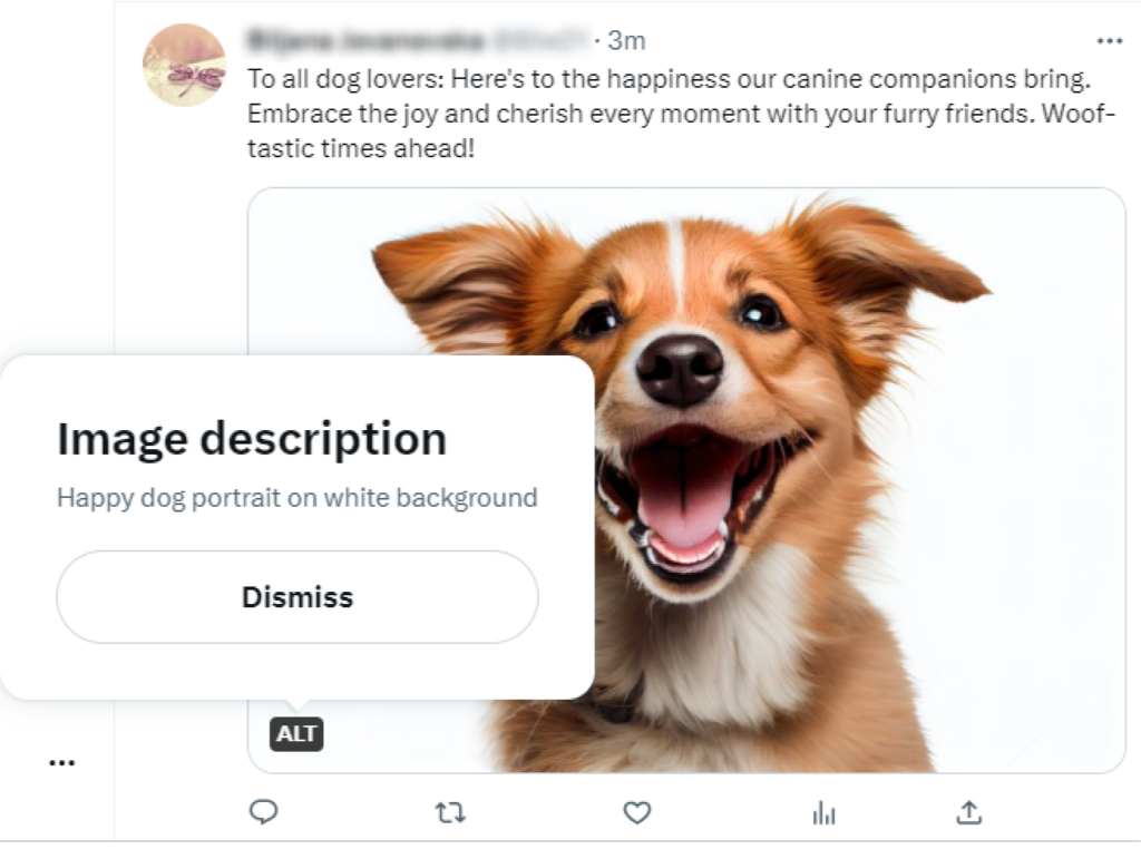 Include Alt Text for Your Images