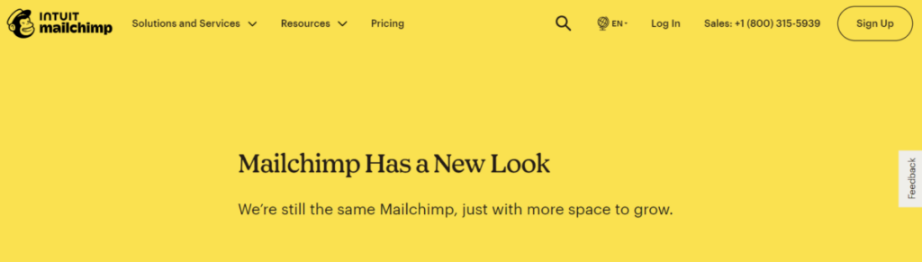 mailchimp New Look