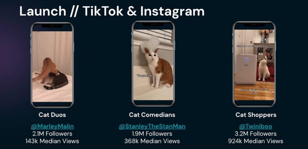TikTok Instagram Influencer Selection - Ubiquitous Agency