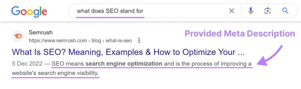 “what does SEO stand for”