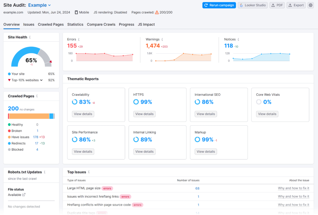site audit overview report