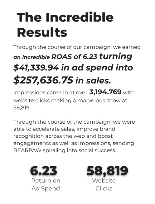 SociallyIn campaign results