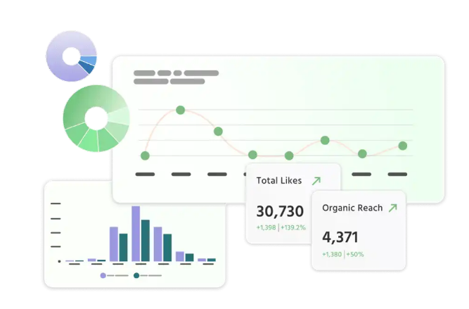 Online Marketing Platforms Loomly Analytics