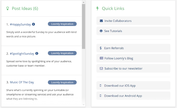 TikTok Analytics Tools Loomly 2