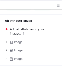 Semrush Alt Attributes Issues 