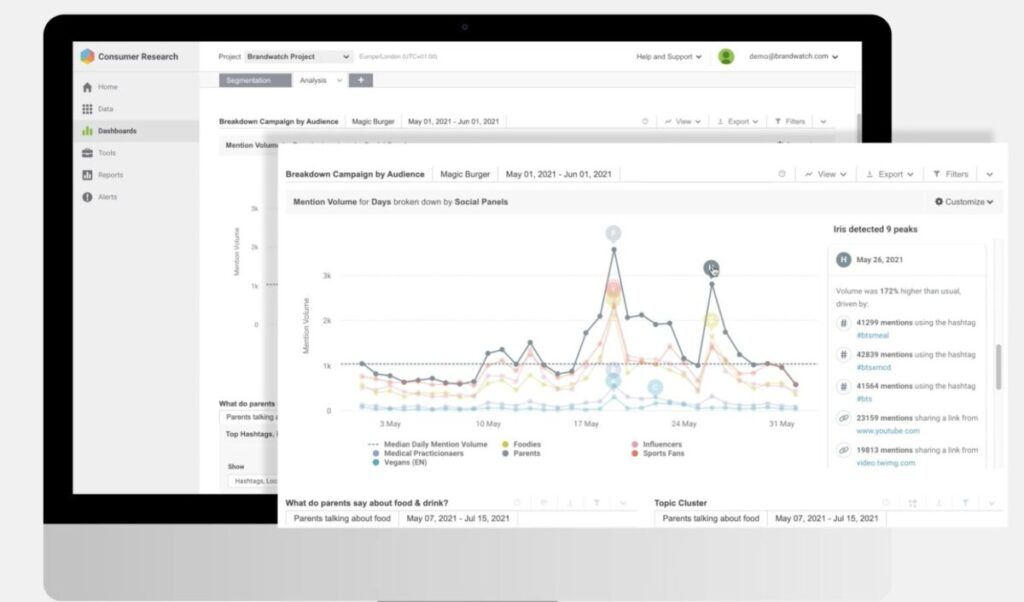 Brandwatch Consumer Research