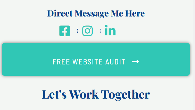 Free website audit and social media handles 