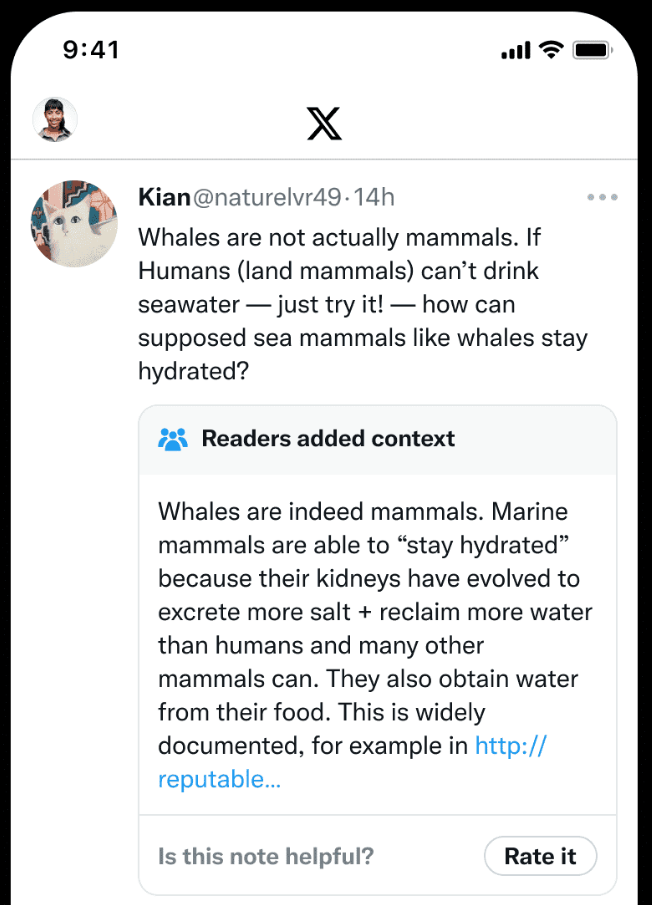X Community Notes