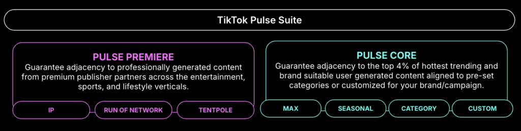 TikTok Pulse New Types